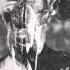 Fobo Animal Fear 2013 Full Album