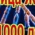 ЖИЗНЬ до1000 Лет РЕДКАЯ и МОЩНАЯ МАТРИЦА П П ГАРЯЕВА 13 01 2023 г