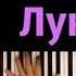 Pionino лук батун