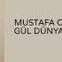 Mustafa Ceceli Gül Dünyam