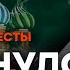 Почему ГИРКИНА до сих пор НЕ ПОСАДИЛИ Соловьев ОТВЕТИЛ ГОРЯЧИЕ НОВОСТИ 30 05 2023