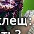 Укус клеща первая помощь и последствия Алексей Водовозов Научпоп Лекции по медицине
