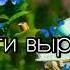 Мама дети выросли уже КРАСИВАЯ ХРИСТИАНСКАЯ ПЕСНЯ МСЦ ЕХБ