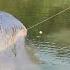 Fishing Techniques For Fishing With Earthworms In Highland Boy Khai Harvests Lake Carp For Sale