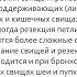 Смолькина А В Лекция по общей хирургии некрозы и свищи