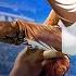 FULL MATCH Undertaker Vs Shawn Michaels WrestleMania XXV