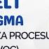 Szkolenie White Belt Lean Six Sigma Moduł 3