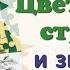 Краткий пересказ 11 Цветок его строение и значение Биология 6 класс Пономарёва