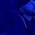 The Ghost Inside Engine 45 17 June 2025 Athens Greece Live 4k