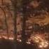 Brush Fire Breaks Out At Prospect Park In Brooklyn