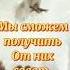 На Небесах живут Родные Души