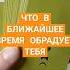 ЧТО В БЛИЖАЙШЕЕ ВРЕМЯ БУДЕТ РАДОВАТЬ ТЕБЯ КАКАЯ НОВОСТЬ ПРИДЁТ