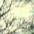 Adagio For Strings William Orbit Dreams Music Video Edit