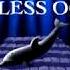 Timeless Ocean An Ecco The Dolphin Tribute Album