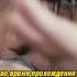 О группе Кукрыниксы Ч2 кукрыниксы ягода алексейгоршенев корольишут корольишут киш горшок