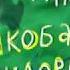 О хеликобактер пилори за 1 минуту Лечение и симптомы Helicobacter Pylori в желудке