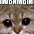 Любимому брату в день рождения Я люблю тебя брат лучшая песня брату