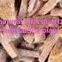 Pink Quartz Entity Processing Plant Crystal Quartz Pinkquartz Pinkcrystal Pink Quartzstone