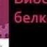 Биология 9 класс Биосинтез белка в клетке