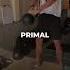 PRIMAL ODISI