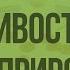 Основные законы устойчивости живой природы Видеоурок по биологии 9 класс