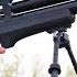 Sniping Pest Birds W 22 PCP Air Rifle Scope Cam