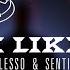 Alesso X Nate Smith I Like It Alesso Sentinel Remix LIVE From Tomorrowland 2024