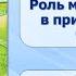 Тип Хордовые Тема 49 Сельскохозяйственные животные Роль млекопитающих в природе и жизни человека