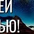 Живите своей жизнью Александр Хакимов Воронеж