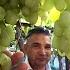 Life In Kishlak 5 Tons Of Grapes Picnic With Fish On The Lake Fergana Uzbekistan