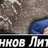 Хватило 17 танков Литвы НАТО замочило Путина но потом Макрон проснулся