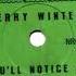 Terry Winter You Ll Notice Me 1970 ESTÉREO DES Stereo