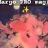 Что он думал о тебе Гадание на воске Margo PRO Magic