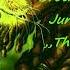 Brother Culture Junior Dread Little Lion Sound The Control