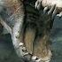 King Kong On PS2 TERRIFIED Me In Depth Retrospective