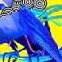 Go A Solovey Ukraine Eurovision 2020