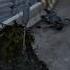 Взорвалась граната в инвентаре Dayz Dayzgamers Dayzshorts Dayzmod дейз