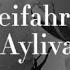 AYLIVA Beifahrer Lyrics