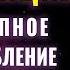 Медитация Поэтапное Расслабление Всех Энергетических Тел Энергетические Центры Чакры