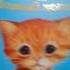 Книга котёнок Пират или ловкий коготь