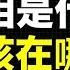 唐山打女孩事件的 谣言 你敢看完吗 死后被扔炼钢炉 实际死亡6人 凶手只因为面子挂不住