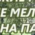 Гавайские гитары Летние мелодии День на память 5 июня 2019 г Ярославль Парк Нефтяников