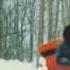 Sonny James When The Snow Is On The Roses 1972