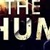 Dimitri Vegas Like Mike Vs Ummet Ozcan The Hum DJEHM REMIX