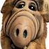 ALF Theme With Lyrics