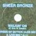 Sheer Bronze Walkin On Degrees Of Motion Club Mix 1992