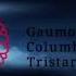 What If Gaumont Columbia Tristar Films Open Matte