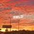 Dandelions Whatsapp Status Slowed Reverb Beautiful Orange Sky
