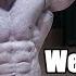 Alexander Westermeier 5 Wochen Bis Zum Pro Debut Training Posing