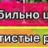 Самые красивые обильные и продолжительно цветущие плетистые розы для Урала